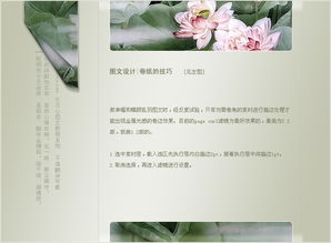 PS圖文中常用元素的設計方法 打造視覺吸引力